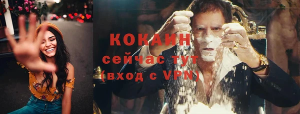 МДПВ Богородск